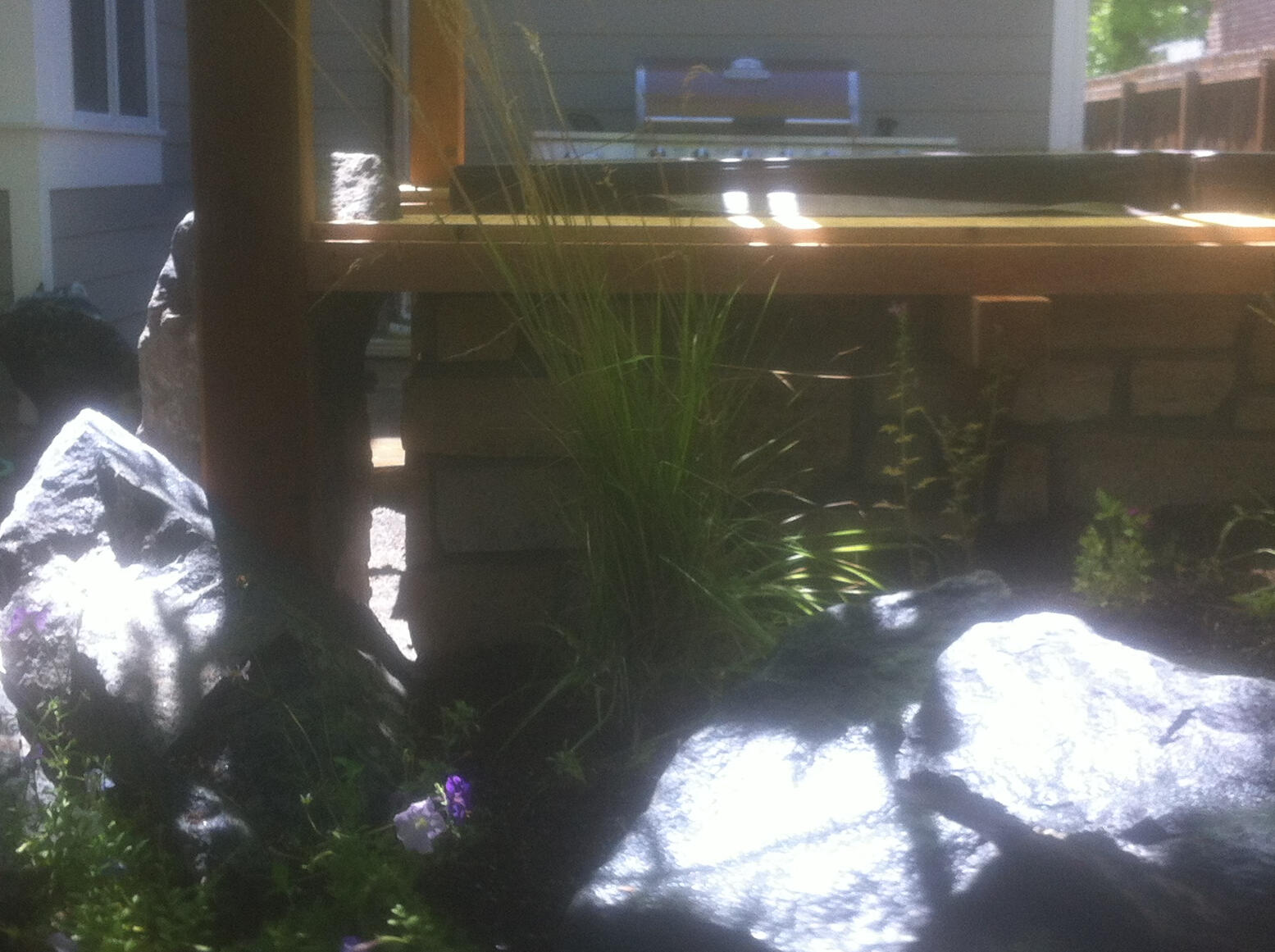 Hot pool,stone,wood and plants