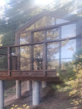 Forest bedroom full build- hand torched wood